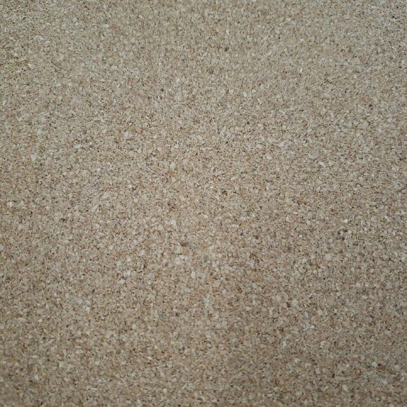 Cork Back Place Mats Fruit Harvest Vtg Plum Apple Green Grapes Pear Peach 2PC - Picture 8 of 16